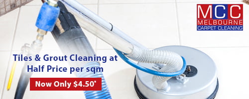 carpet cleaning deals in my area