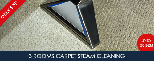 Carpet-Cleaning-Banner