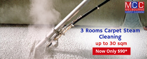 Carpet Steam Cleaning Carpet Steam Cleaning
